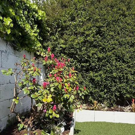 Superb Double Near Airport - 3 Guest house Dublin