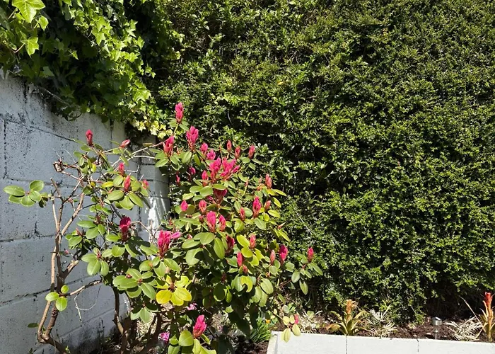 Superb Double Near Airport - 3 Affittacamere Dublino